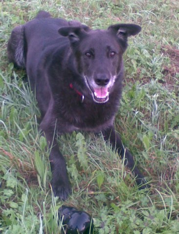 med_Komm, spiel mit mir.jpg (366 x 479)